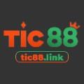 tic88link