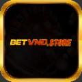 betvndstore