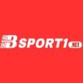 bsport1net