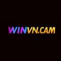 winvncam