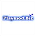 playmodsbiz