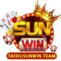 taixiusunwinteam