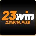 23winpub