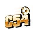 c54works1