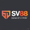 sv88technology