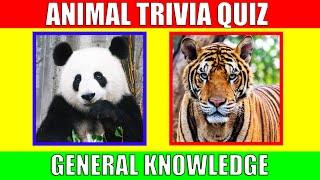 ANIMAL TRIVIA QUIZ for Kids | Animal General Knowledge Quiz Game for  Preschoolers and Kindergarten